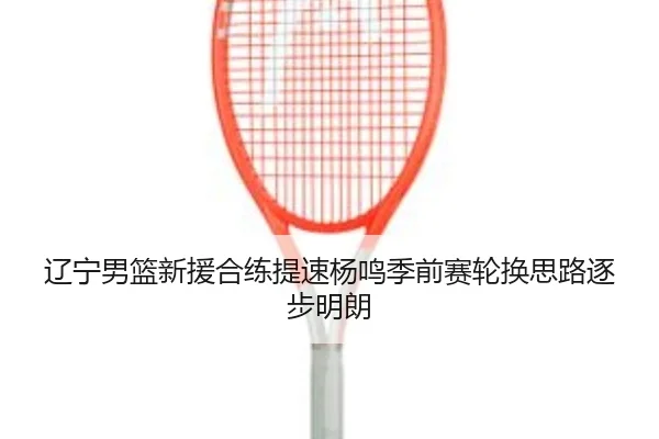 辽宁男篮新援合练提速杨鸣季前赛轮换思路逐步明朗 - 3377SPORTS